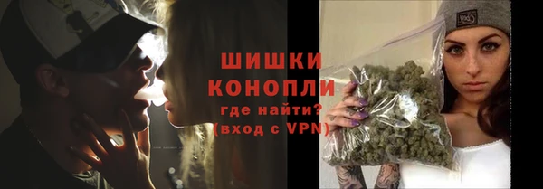 альфа пвп Заводоуковск
