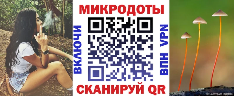 Псилоцибиновые грибы мицелий  shop состав  Куровское 